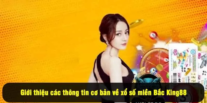 Giới thiệu các thông tin cơ bản về xổ số miền Bắc King88