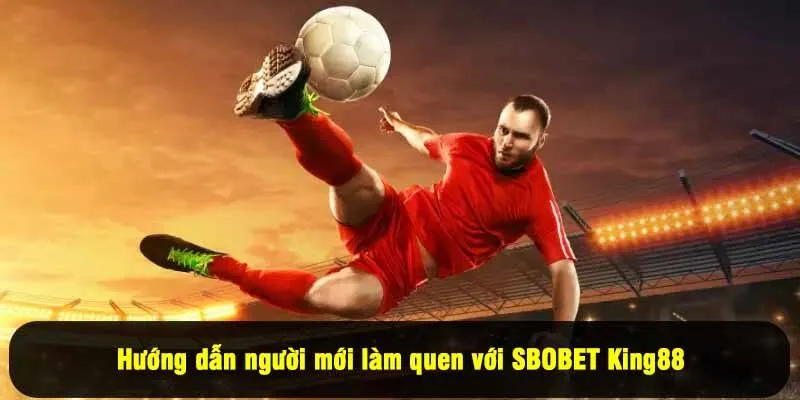 Hướng dẫn người mới làm quen với SBOBET King88