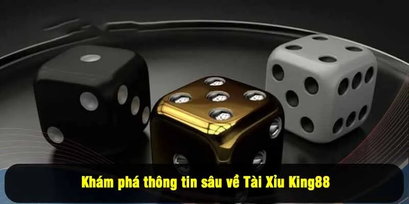 Khám phá thông tin sâu về Tài Xỉu King88
