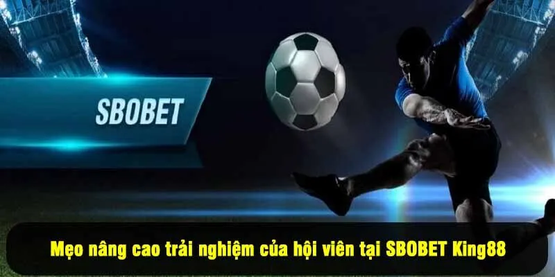 Mẹo nâng cao trải nghiệm của hội viên tại SBOBET King88