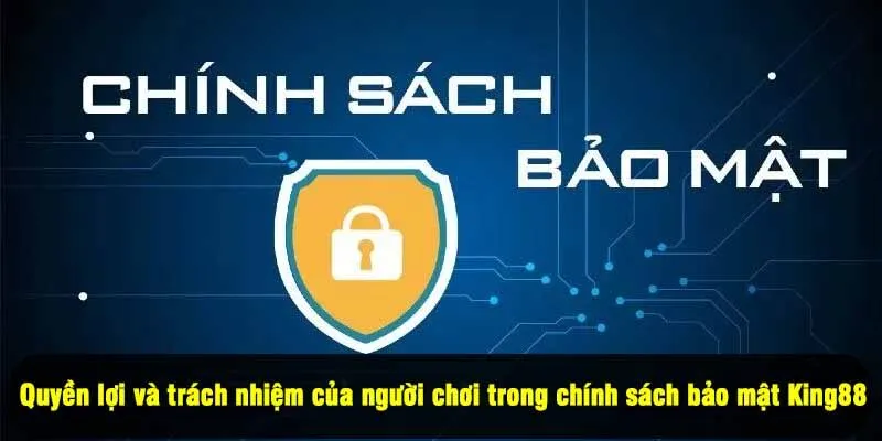 Quyền lợi và trách nhiệm của người chơi trong chính sách bảo mật King88